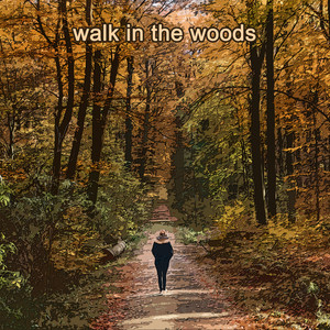 Walk in the Woods