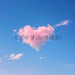天若有情 (DJ降调版)