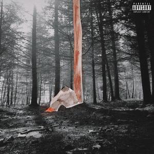 Speedracing (feat. Insom) (Explicit)