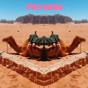 Feynan