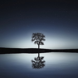 At Peace