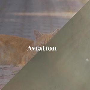 Aviation