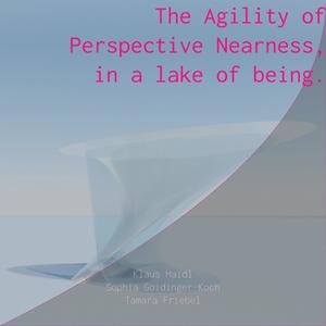 The Agility of Perspective Nearness, in a lake of being. (feat. Sophia Goidinger-Koch & Klaus Haidl) (live)