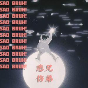 悲伤兄弟Sad Bruh!