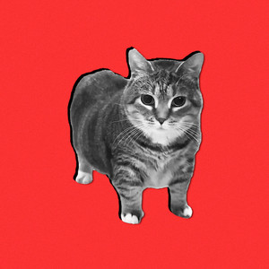 Oiia Cat (Instrumental)