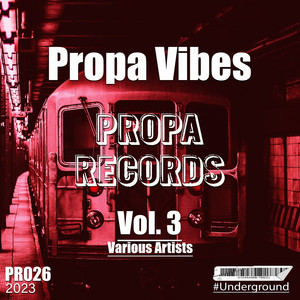 Propa Vibes, Vol. 3