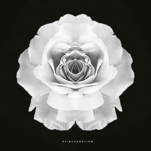 REINCARNATION (Original Mix)