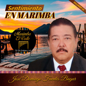 Sentimiento en Marimba, Vol. 10