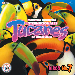 Norteñas Tucaneras 7: El Otro México / Medias Negras / No Volveré