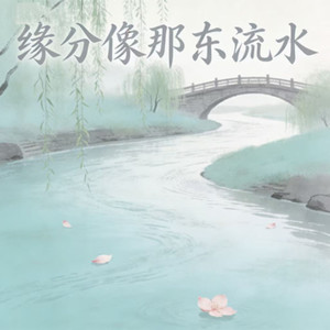 DJ梦梦 - 缘分像那东流水 (DJ版)