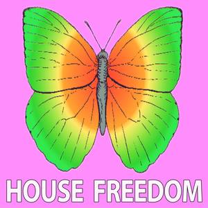 Disco Session (Q-Green Remix)