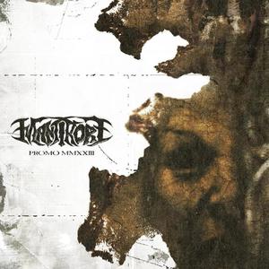 Descent into Decay (feat. Balmora)