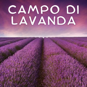 Campo Di Lavanda