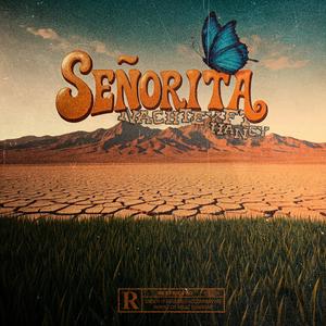 Señorita (feat. Hancy) (Explicit)