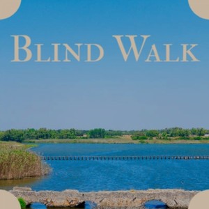 Blind Walk