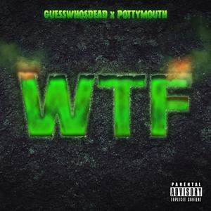 WTF (feat. Pottymouth) [Explicit]