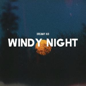 windy night