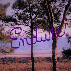 Endure (Bonus Track)