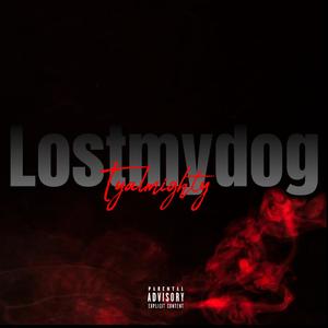 Lost My Dog (Freestyle) [Explicit]