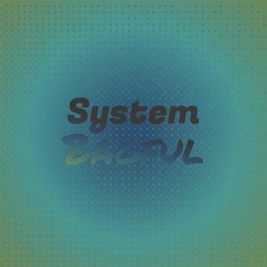 System Bagful