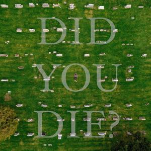 DID YOU DIE? (feat. Shivs) [Explicit]