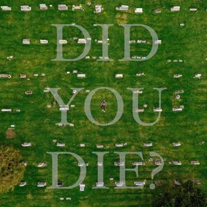 DID YOU DIE? (feat. Shivs) (Explicit)