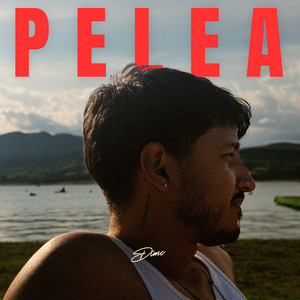 Pelea
