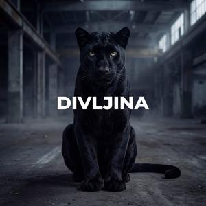 Divljina (Explicit)