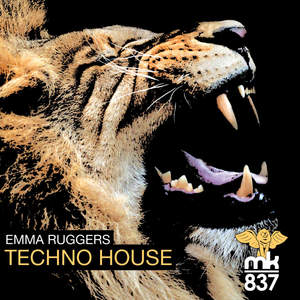 Techno House (Francisco Samuel Remix)