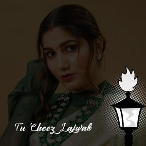 Tu Cheez Lajwab (Special Version)