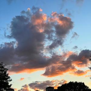 Leonardo Cyril - WDYM Freestyle