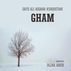 Gham (feat. Seyed Ali Asghar Kurdistani)