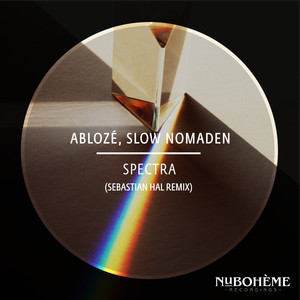 Spectra (Sebastian Hal Remix)