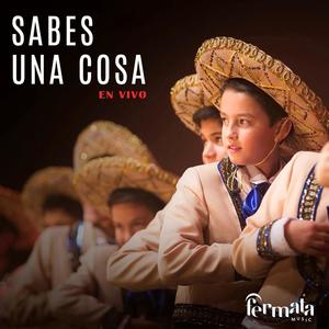 Sabes Una Cosa (feat. Fermaltos, Sebastian Ramirez, Mariachis Fernandez Uruguay & Fermata Music)