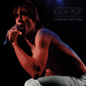 Iggy Pop - You Really Got Me