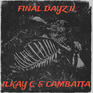 Final Dayz II (Explicit)