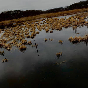 f3At.!:/: (feat. 2$hey) (Special Version free bro)