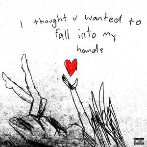 i thought u wanted to fall into my hands (Explicit)