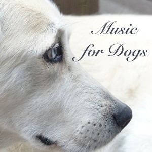 Music for Dogs - Sleeping Songs for Pet Therapy and Soothing Sounds to Send Your Dog to Sleep