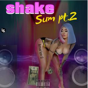 Shake Sum Pt.2 (Explicit)