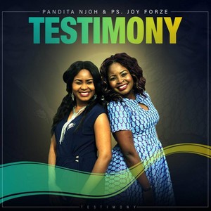 Testimony