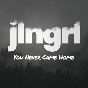 You Never Came Home