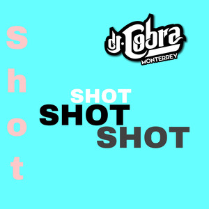 Shot