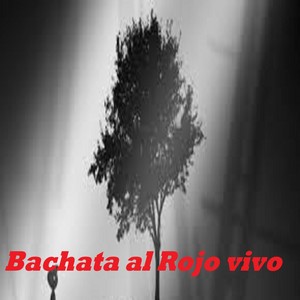 Bachatas al Rojo Vivo