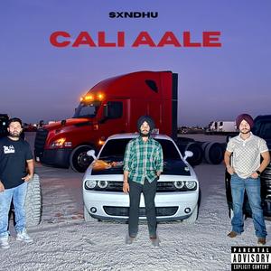 CALI AALE (feat. PeteSpace) (Explicit)