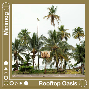Rooftop Oasis