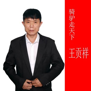 骑驴走天下