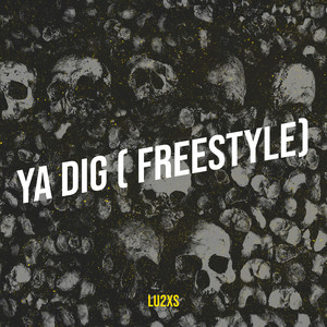 Ya Dig (Freestyle) [Explicit]