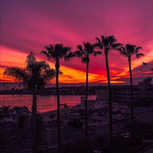 剑伤 (Au男生版|翻自 听风音乐)