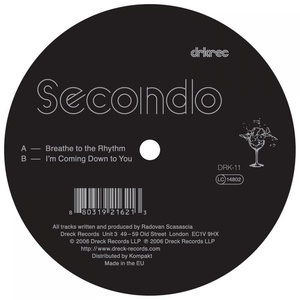 I'm Coming Down To You (Original Mix)